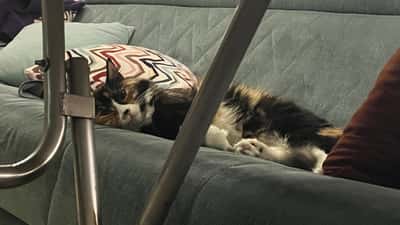 Ahhh - Furkan Balkaya