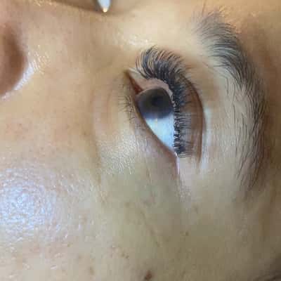 BOLD CLASSIC - QUUENLASHES SURABAYA