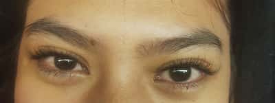 natural lash - diva aprilia